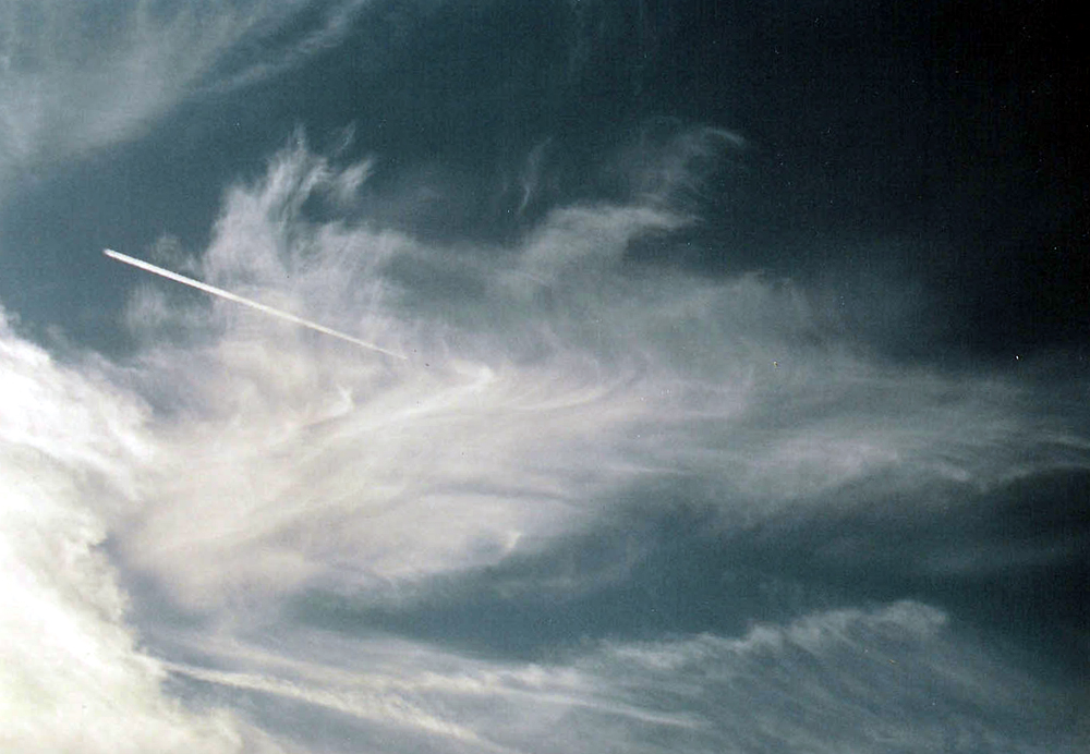 Sylph from Geo Naytowhowcon